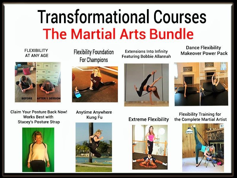Martial Arts Flexibility Master Class Series
